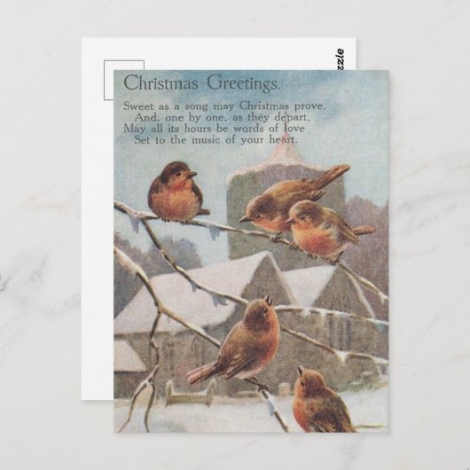 CHRISTMAS GREETINGS five robins on branches ポストカード (正面/裏面)
