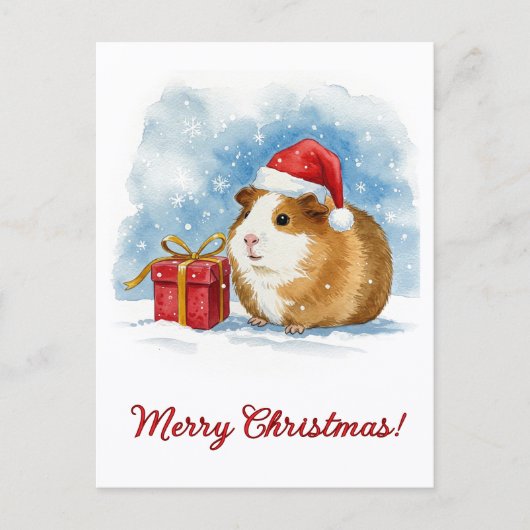 Christmas Guinea Pig Postcard ポストカード (正面)