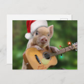 Christmas guitar pig ポストカード (正面/裏面)