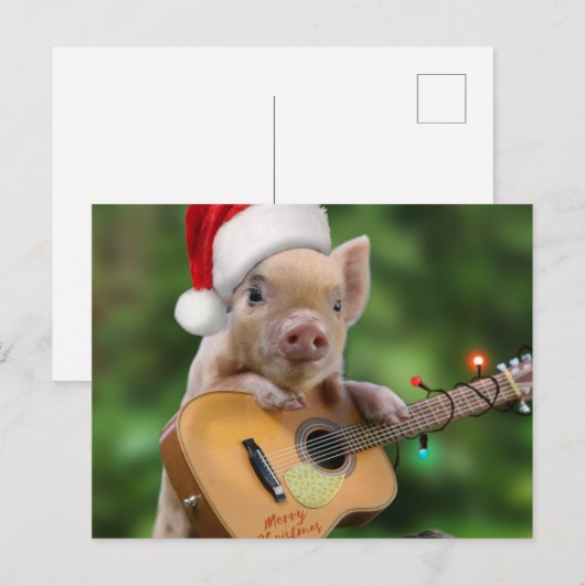 Christmas guitar pig ポストカード (正面/裏面)