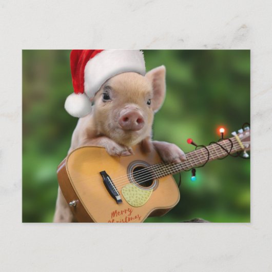 Christmas guitar pig ポストカード (正面)