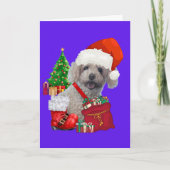 Christmas Happy Holidays Poodle Greeting Card カード (正面)