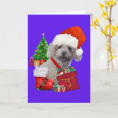 Christmas Happy Holidays Poodle Greeting Card カード (黄色い花)