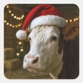 Christmas Hereford Cow Wearing a Santa Hat スクエアシール (正面)