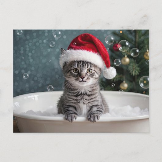Christmas Holiday Cute Kitten Cat in Bubble Bath  シーズンポストカード (正面)