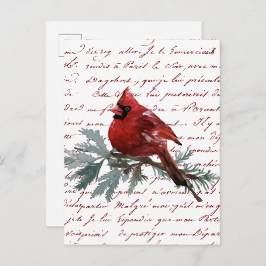 Christmas Holiday Red Cardinal Bird French Script ポストカード (正面/裏面)