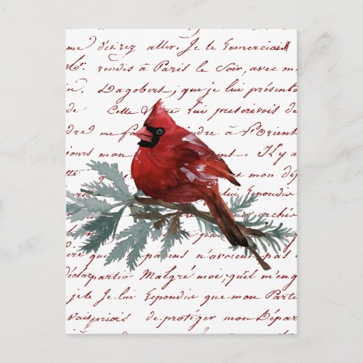 Christmas Holiday Red Cardinal Bird French Script ポストカード (正面)