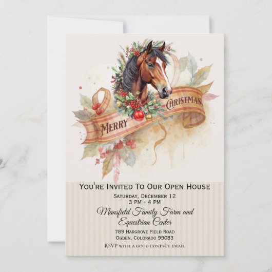 Christmas Horse (正面)