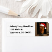 Christmas Horse In Stable Window ラベル (インサイチュ)