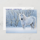 Christmas Horse Snow Lights シーズンポストカード (正面/裏面)
