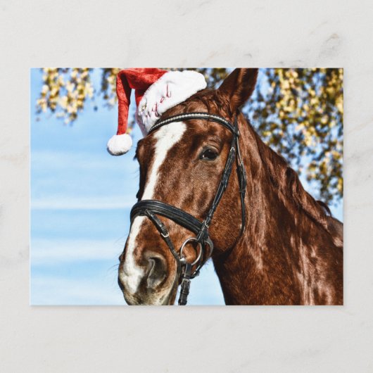 Christmas horse with hat ポストカード (正面)