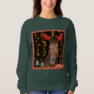 christmas horsie sweater スウェットシャツ