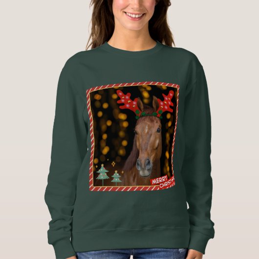 christmas horsie sweater スウェットシャツ (正面)