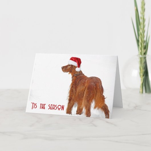 Christmas Irish Setter In Snow カード (正面)