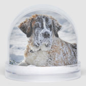 Christmas, Keepsake, or Memorial Custom Pet Photo  (正面)
