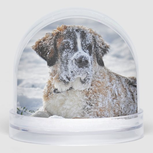 Christmas, Keepsake, or Memorial Custom Pet Photo  (正面)