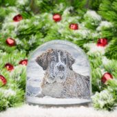 Christmas, Keepsake, or Memorial Custom Pet Photo  (クリスマス)