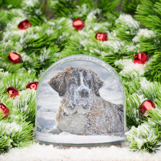 Christmas, Keepsake, or Memorial Custom Pet Photo  (クリスマス)