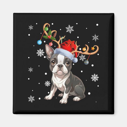 Christmas Light Reindeer Santa Hat Boston Terrier  マグネット (正面)