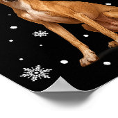 Christmas Lights Reindeer Santa Italian Ghound Xma ポスター (角)