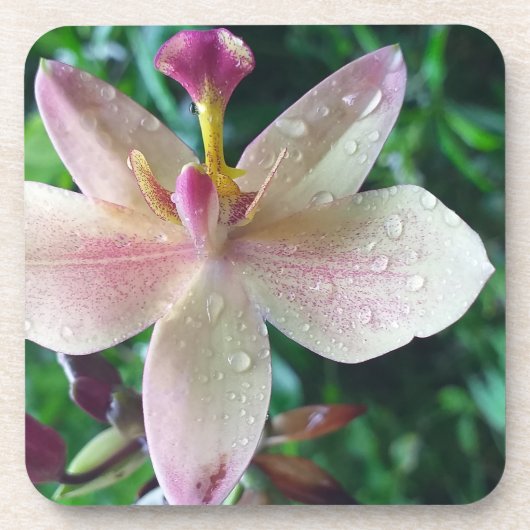 CHRISTMAS LOVE GIFT WOMEN , GIRLFRIEND MOM コースター (正面)