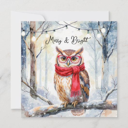 Christmas Owl カード (正面)