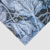 Christmas Party Blue Leaves Snow Holidays Winter 薄葉紙 (詳細)