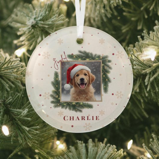Christmas Pet Photo – Personalized Keepsake ガラスオーナメント (インサイチュ)