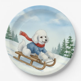 Christmas Poodle Sledding, Paper Plates ペーパープレート