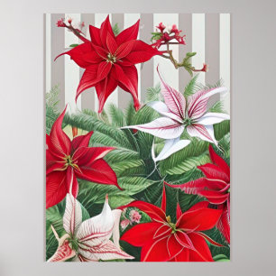 Christmas Red Amaryllis and Poinsettias ポスター