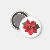 Christmas Red Poinsettia  マグネット (正面/裏面)