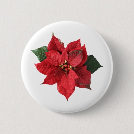 Christmas Red Poinsettia  缶バッジ (正面)