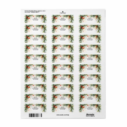 Christmas Santa's Return Address ラベル (フルシート)