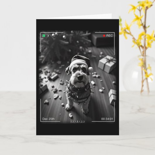 Christmas Schnauzer Caught On Camera  カード (黄色い花)