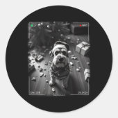 Christmas Schnauzer Caught On Camera  ラウンドシール (正面)