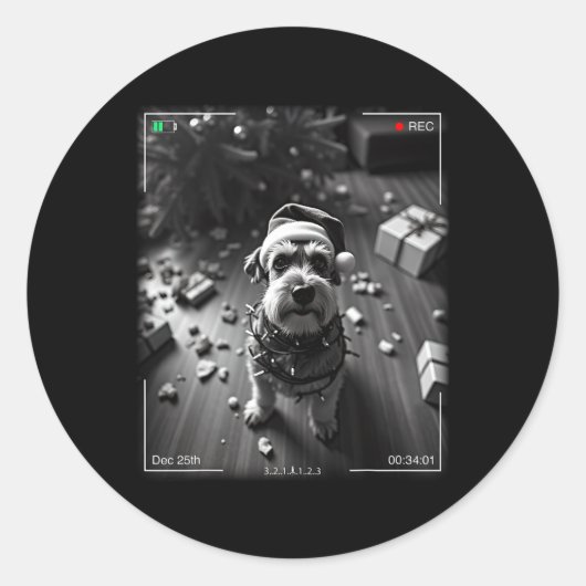 Christmas Schnauzer Caught On Camera  ラウンドシール (正面)