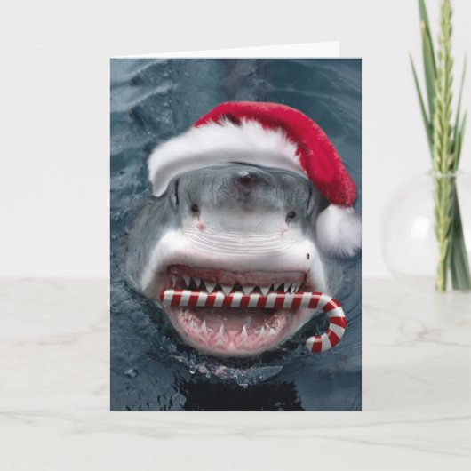 Christmas Shark カード (正面)