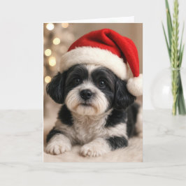 Christmas Shih Tzu Dog With Santa Hat カード