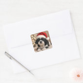 Christmas Shih Tzu Dog With Santa Hat スクエアシール (封筒)