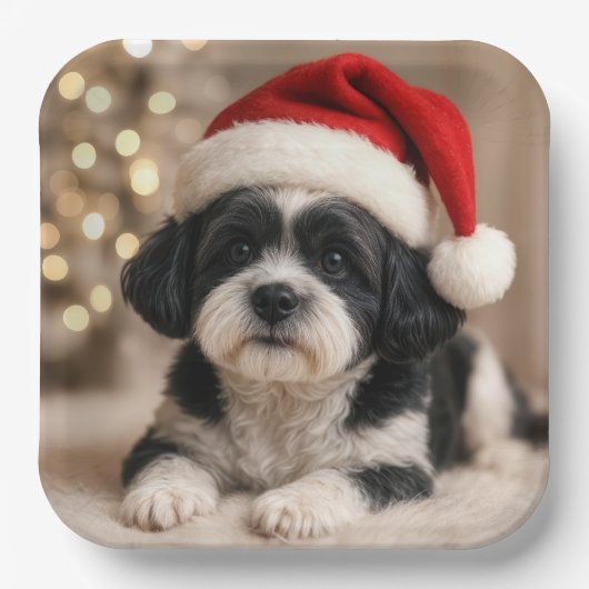 Christmas Shih Tzu Dog With Santa Hat ペーパープレート (正面)