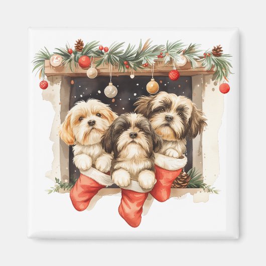 Christmas Shih Tzu Dogs マグネット (正面)