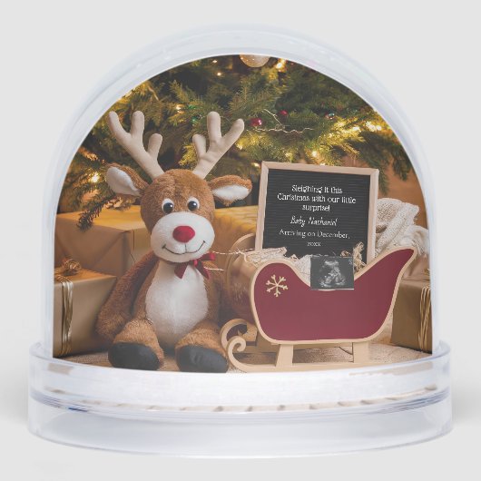 Christmas Sleigh Pregnancy Announcement (正面)