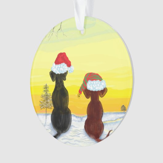 christmas springador オーナメント (正面)