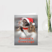 Christmas Springer Spaniel カード (正面)