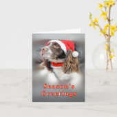 Christmas Springer Spaniel カード (黄色い花)