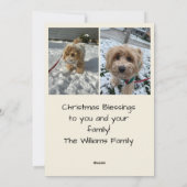 Christmas Stocking Christmas Photo Card シーズンカード (裏面)