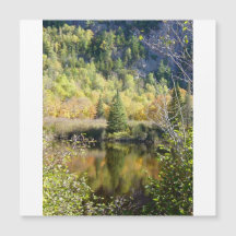 Christmas Tree holiday card, magnetic card