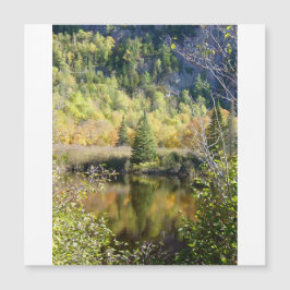 Christmas Tree holiday card, magnetic card