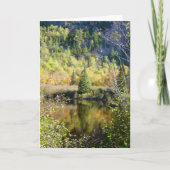 Christmas tree holiday greeting card カード (正面)