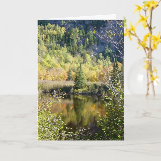 Christmas tree holiday greeting card カード (黄色い花)